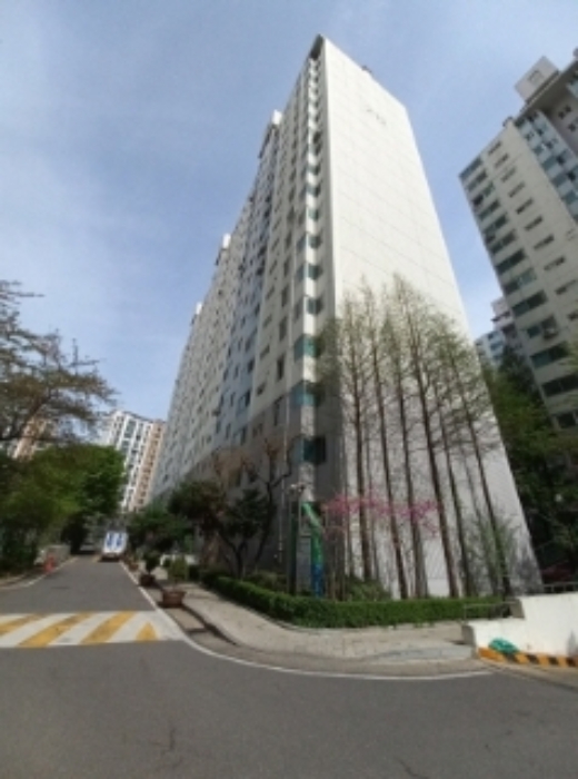 아파트 단지 안 도로에서 올려다본 고층 동 외관과 단지 조경